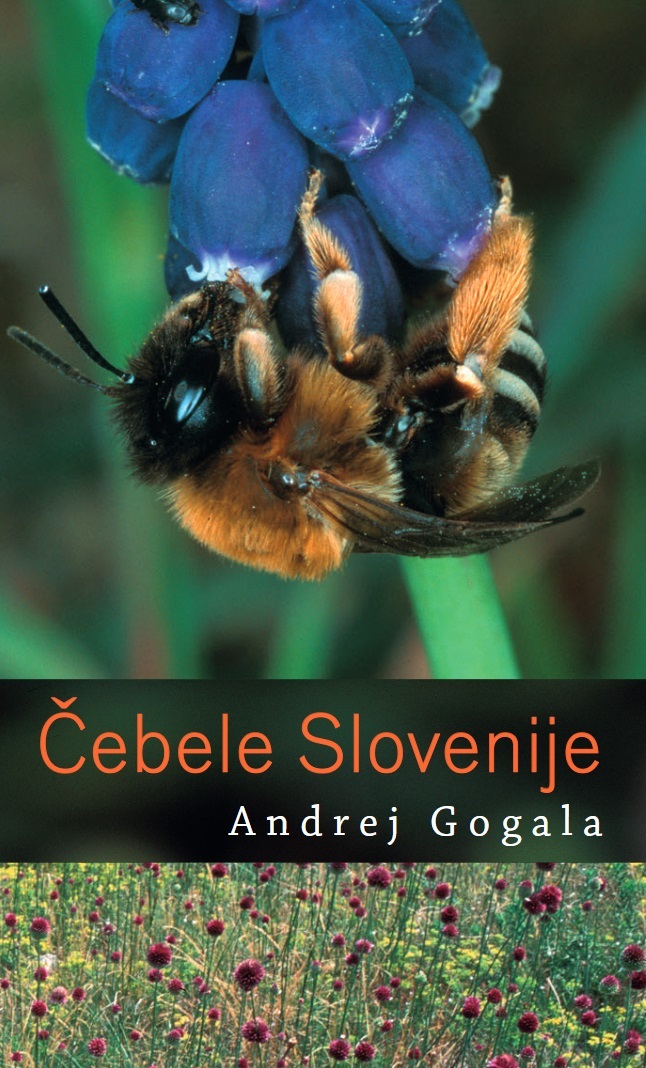 Čebele Slovenije
