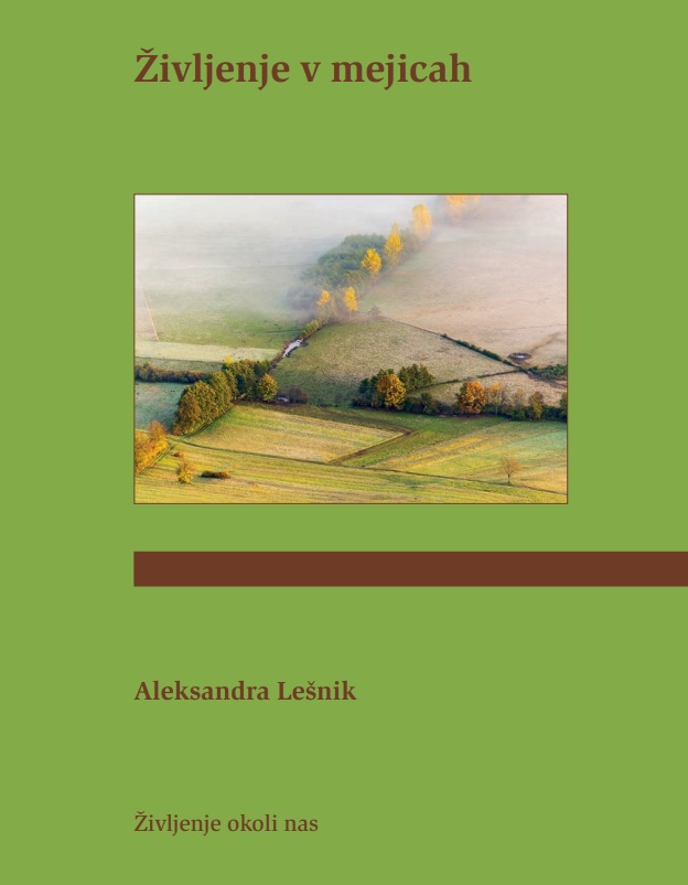 Življenje v mejicah