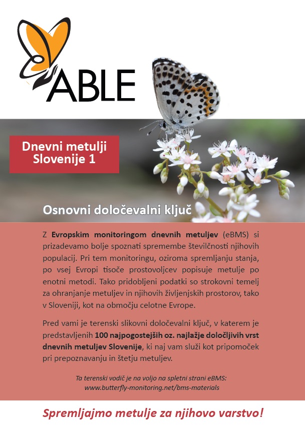 Dnevni metulji Slovenije 1 – Osnovni določevalni ključ
