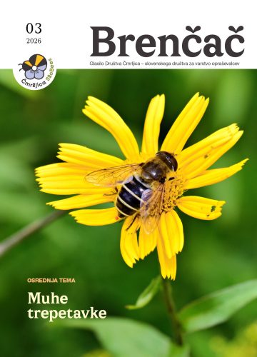 Brenčač 2026