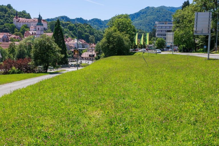 Cvetoč travnik v mestu, v ozadju Škofjeloški grad.